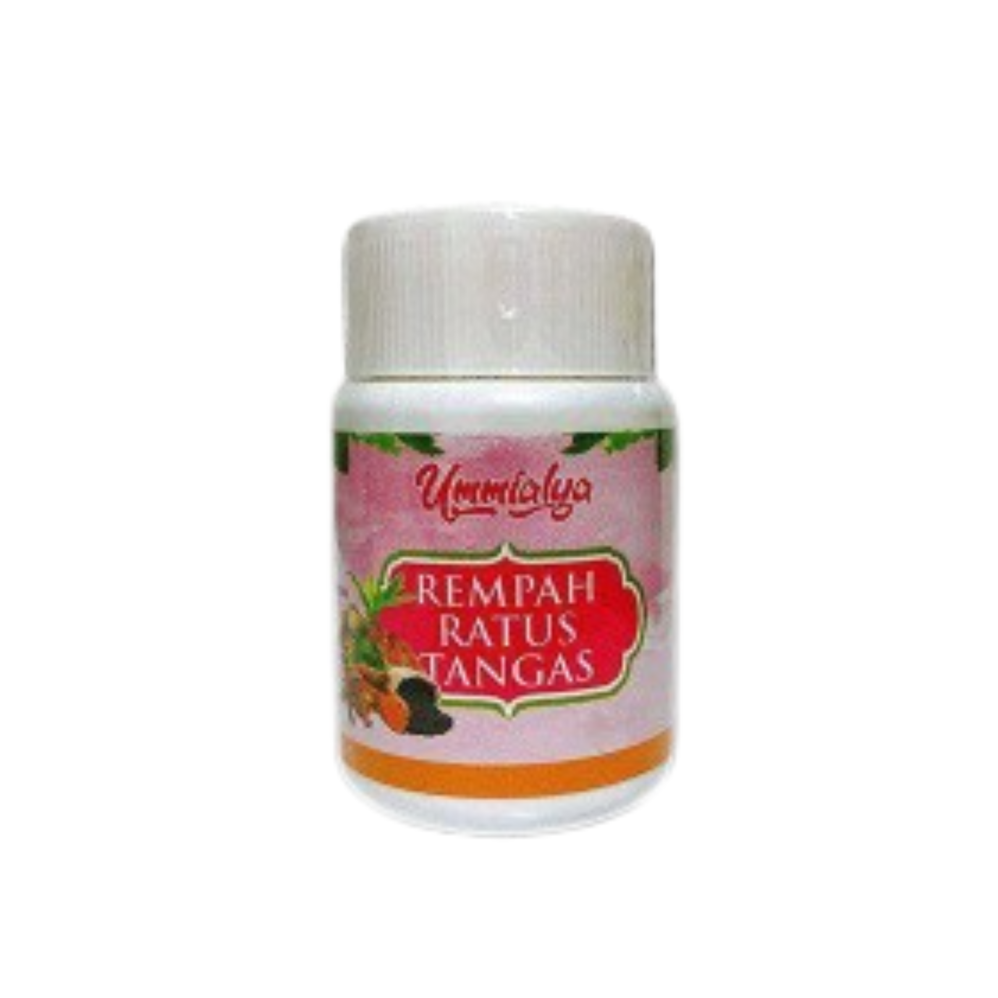 CATALOGUE WEBSITE (28)