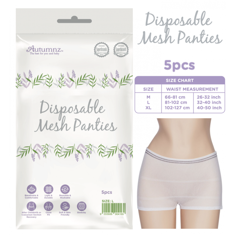 AUT MESH PANTIES