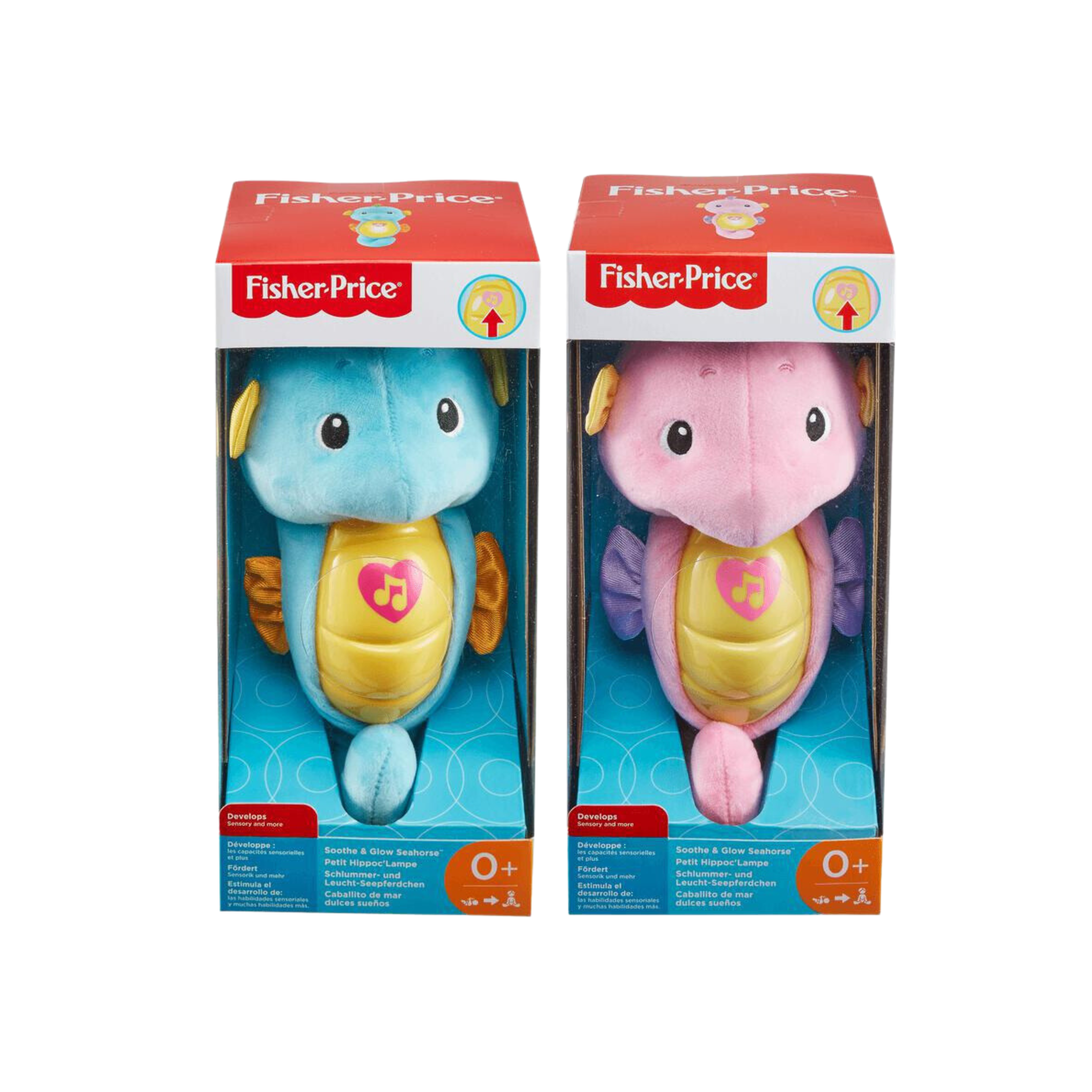 FP SEAHORSE (2)