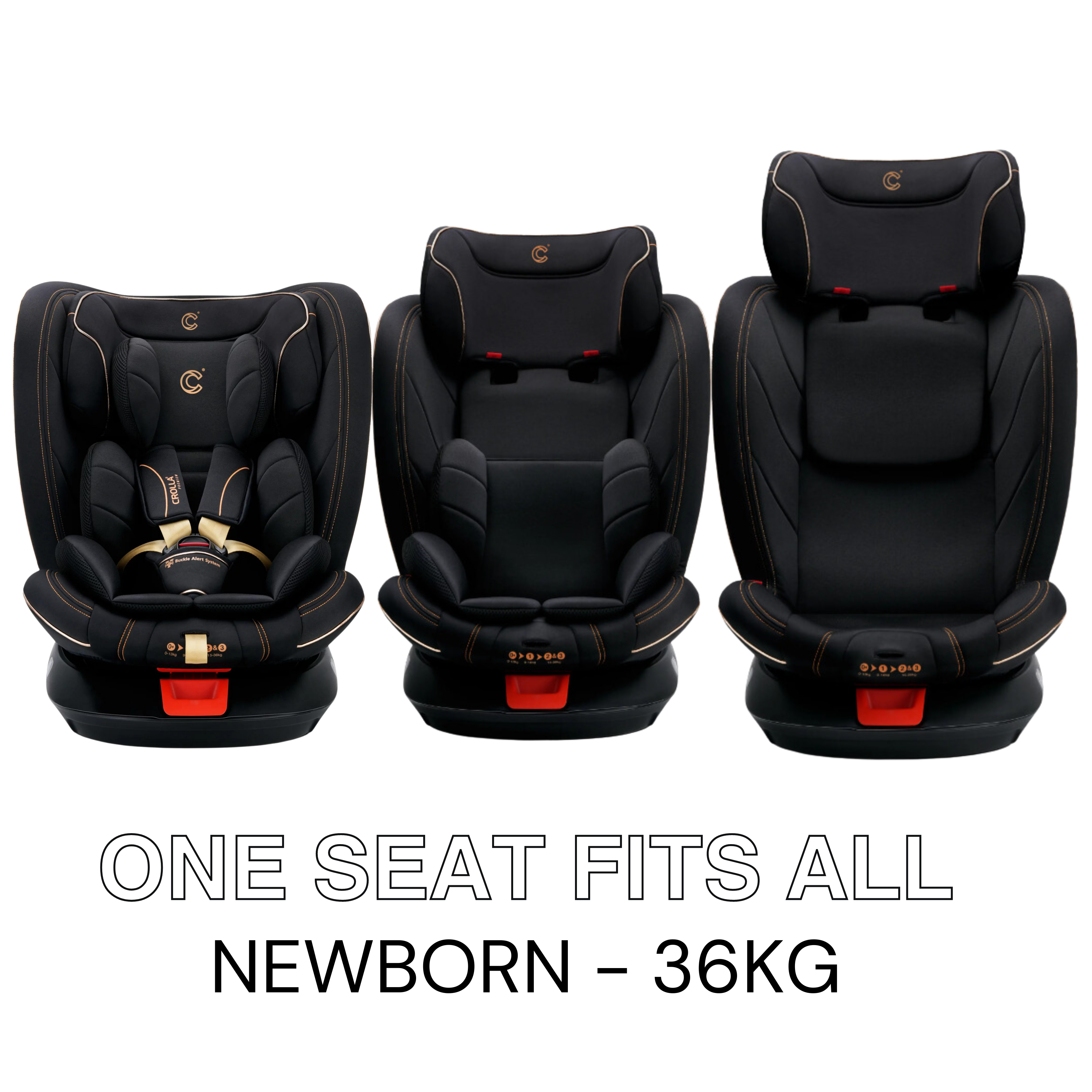 NEX360 GOLD (2)